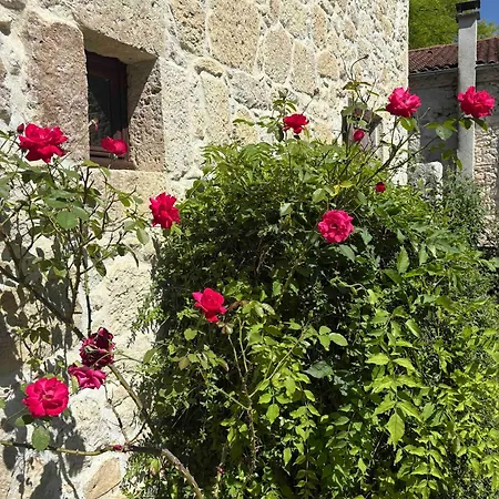 Domaine De Gargoris - Domaine Privé Avec Piscine Jusqu A 18 Personnes Casa vacanze *